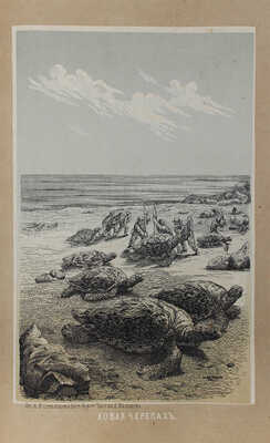 Гартвиг Г. Море и его жизнь / Соч. Гартвига; пер. с послед. нем. изд. В. Модестов. 2-е изд. М., 1867.